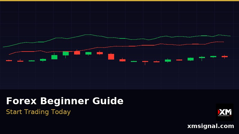 Forex Beginnersgids 2026 — ภาพประกอบ 3