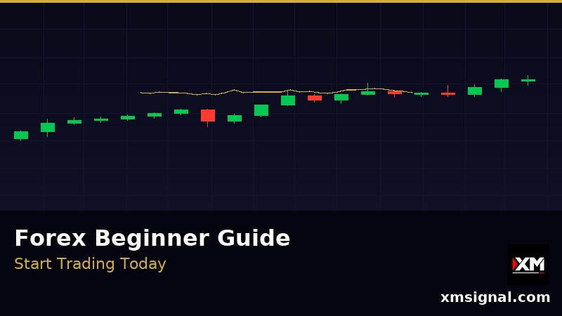 Panduan Forex untuk Pemula — Mula Berdagang 2026 — ภาพประกอบ 1